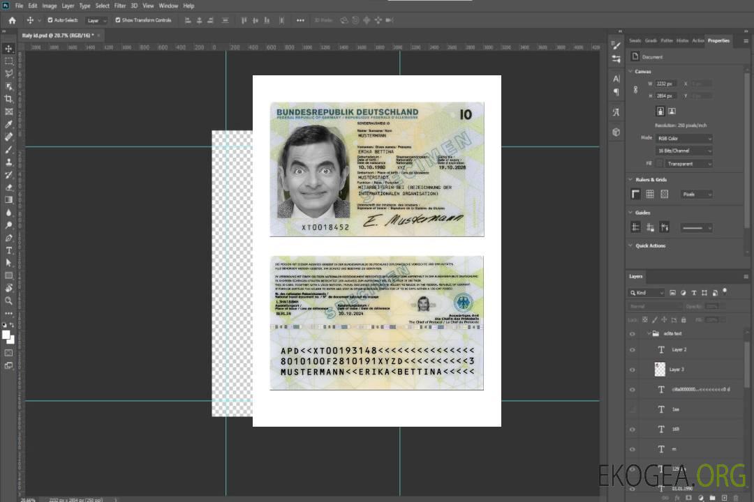 Carte d'identité spéciale allemande 2024-présent template Carte d'identité spéciale allemande 2024-présent template